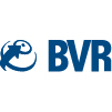Logo BVR Negócios e Consultoria